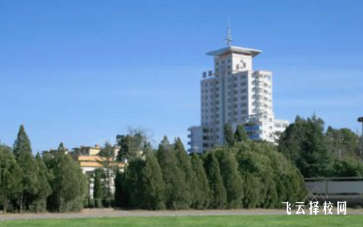 高中哪個科目最簡單