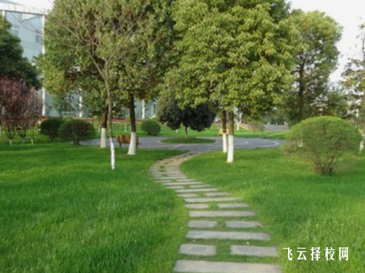 高中哪些科目屬于文科