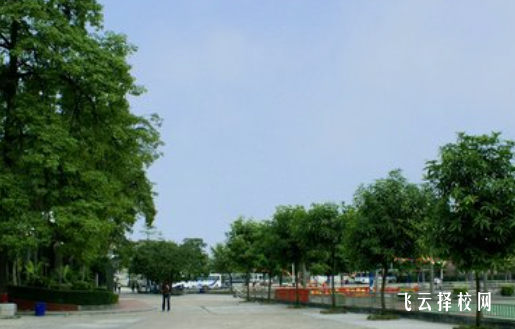 高中哪些科目屬于文科