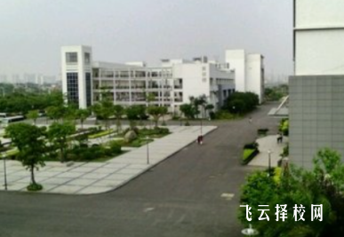 高中女生可以學什么