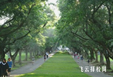 高中選什么科可以學金融