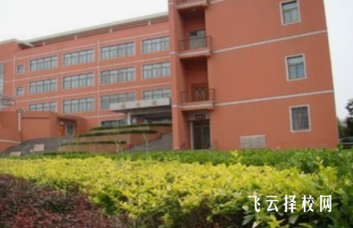 高中選什么科可以學金融