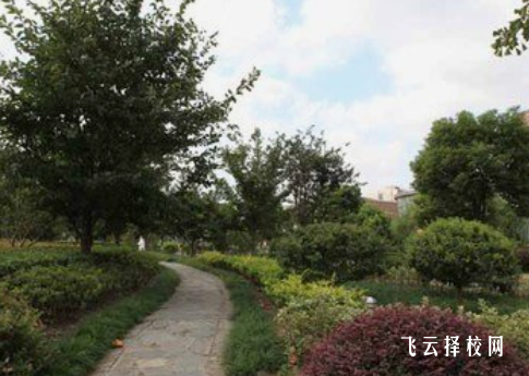 高中學歷在哪里可以查到