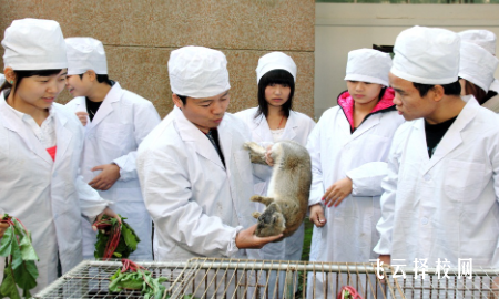 技校比較冷門的專業是哪些