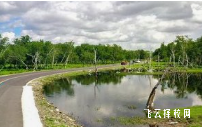 四川省高縣職業(yè)技術(shù)學(xué)校在哪里怎么去