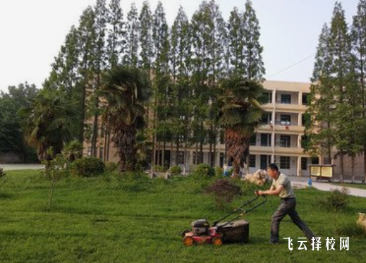 四川省南部縣職業學校在哪里怎么去