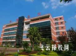 綿陽泛美飛行職業技術學校是怎樣收費的