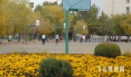 成都萬(wàn)通未來(lái)高級(jí)技工學(xué)校多少分可以讀