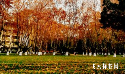 德陽市富民技工學校多少分可以讀