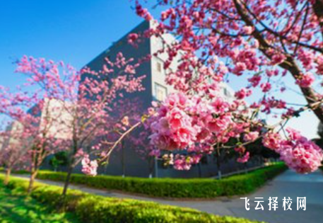 德陽舞蹈學校多少分可以讀