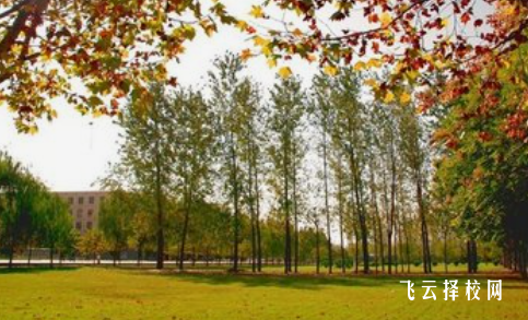 德陽舞蹈學校多少分可以讀