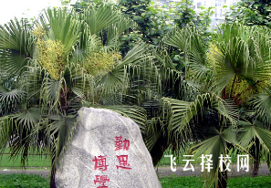 四川省農(nóng)業(yè)廣播電視學(xué)校是高中還是大專