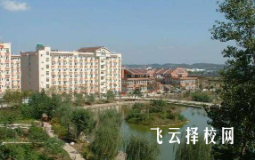 德陽中藝科技職業學校是公辦還是私立