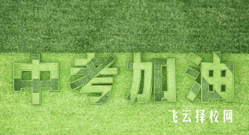 中考各科分?jǐn)?shù)是多少