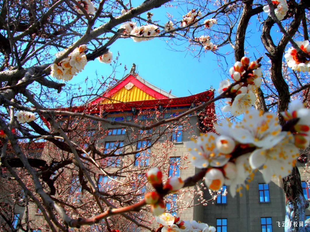 四川科技職業學院是職高還是技校