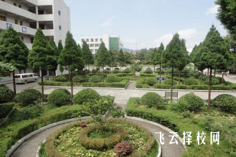 四川省丹棱職業高級中學是職高還是技校