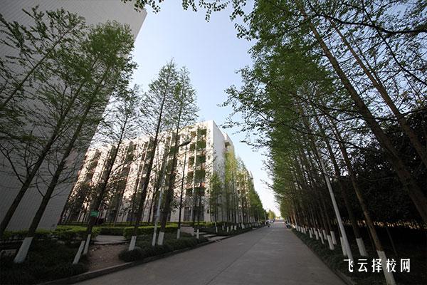 四川省閬中師范學(xué)校是職高還是技校