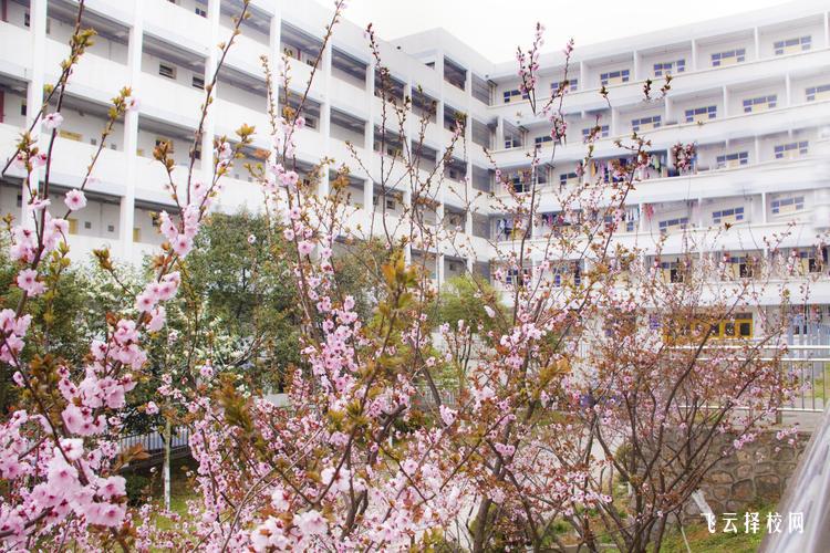 四川省平武縣職業高級中學是職高還是技校