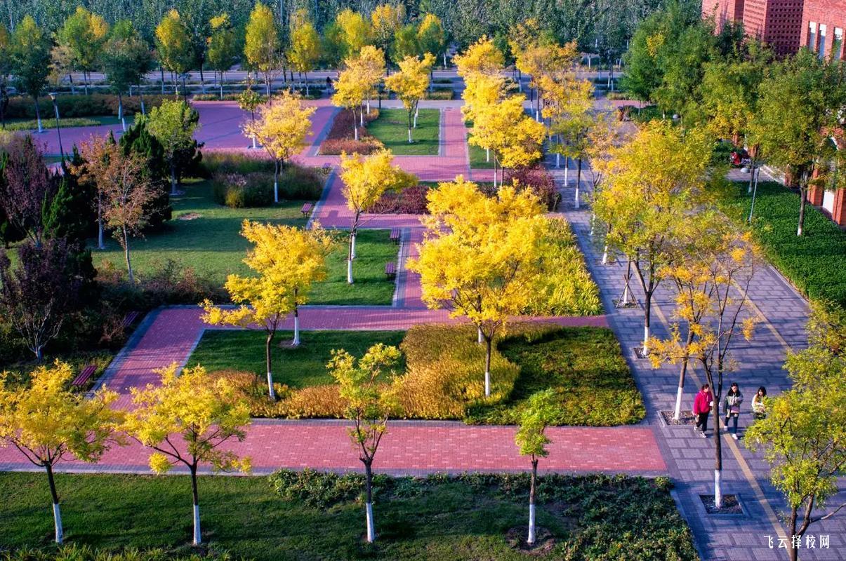 德陽應用技術職業學校是3+3學制嗎