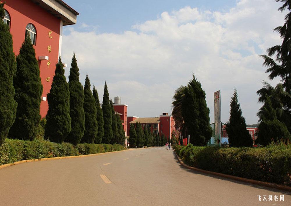 樂山市知行旅游職業高中是3+3學制嗎