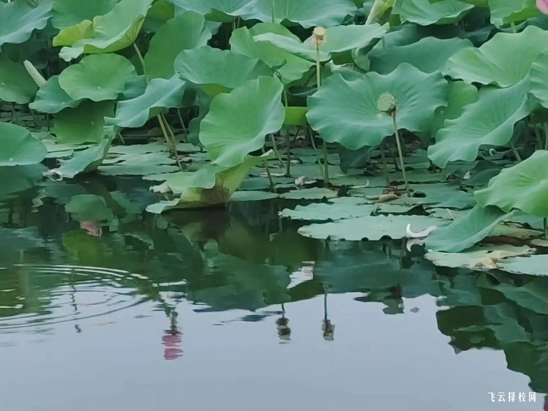 涼山州職業(yè)技術(shù)學(xué)校是3+3學(xué)制嗎