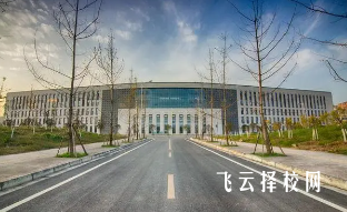 綿陽理工學校是3+3學制嗎