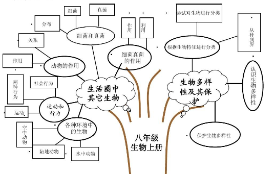 高中的生物要怎么學好