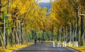 成旅商校怎么樣,中專招生條件是什么