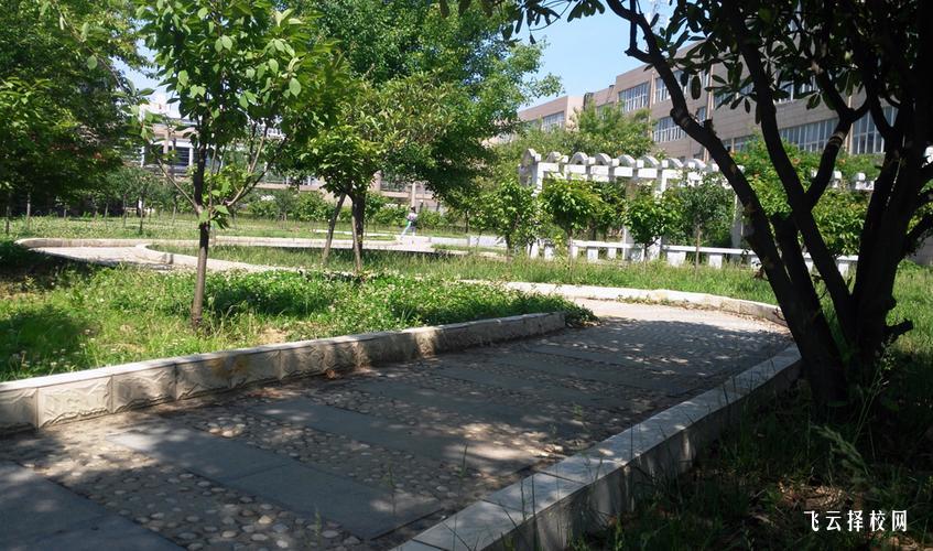 閬中江南職中怎么樣,中專招生條件是什么