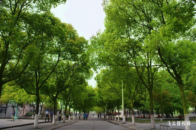 南充外國語中專校怎么樣,中專招生條件是什么