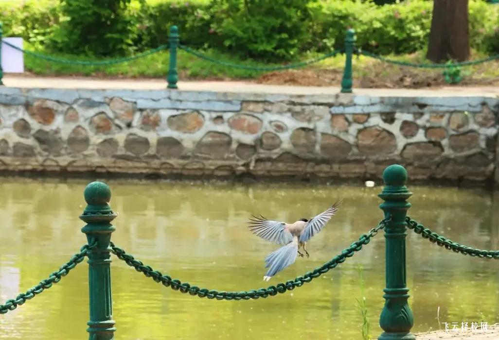 四川育英醫(yī)科校是公辦嗎,學(xué)校好不好