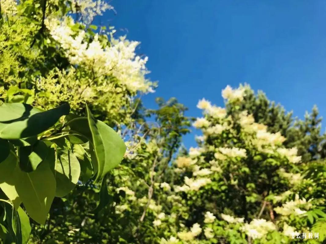 四川榮縣職教中心是公辦嗎