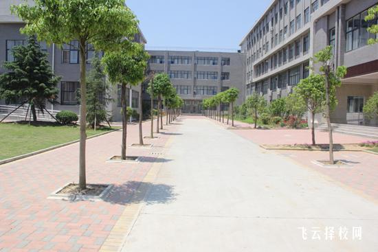 四川民干校是公辦嗎