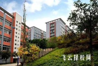 綿竹職中是公辦嗎