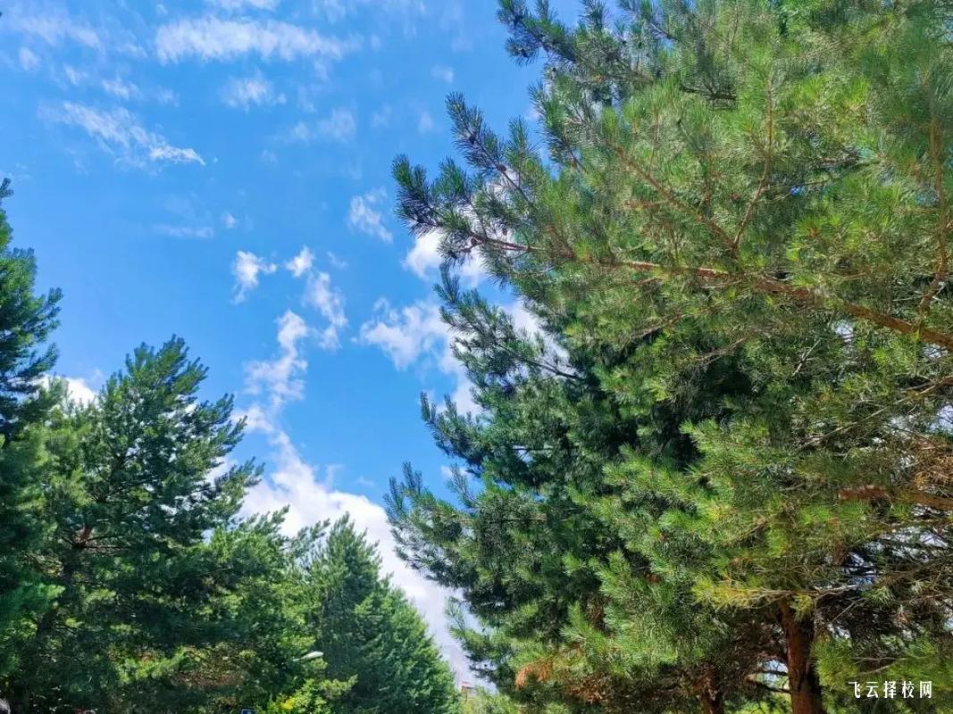 樂山嘉州衛校是公辦嗎,學校好不好