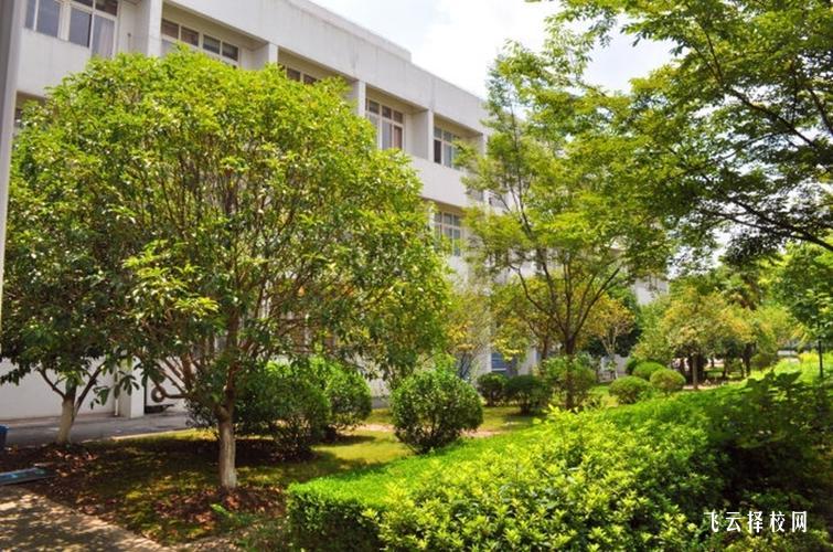 閬中江南職中是公辦嗎