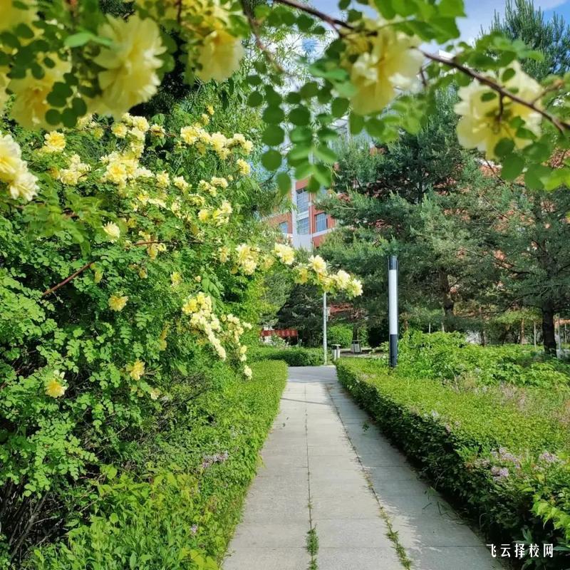 井研職中是公辦嗎