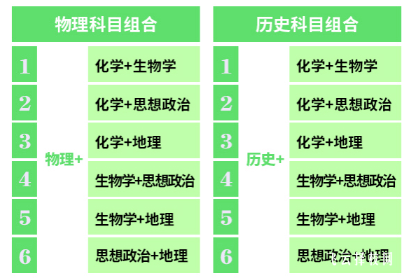 新高考政策下有哪些選科組合, 考生如何選科