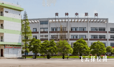 四川青神中職校有什么專業,中考錄取分數多少