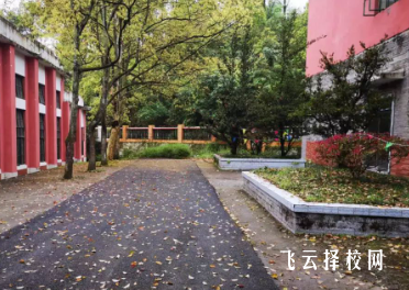 四川達(dá)百職校有什么專業(yè),中考錄取分?jǐn)?shù)多少