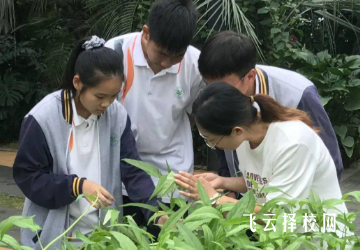 四川安岳縣職教中心有什么專(zhuān)業(yè),中考錄取分?jǐn)?shù)多少