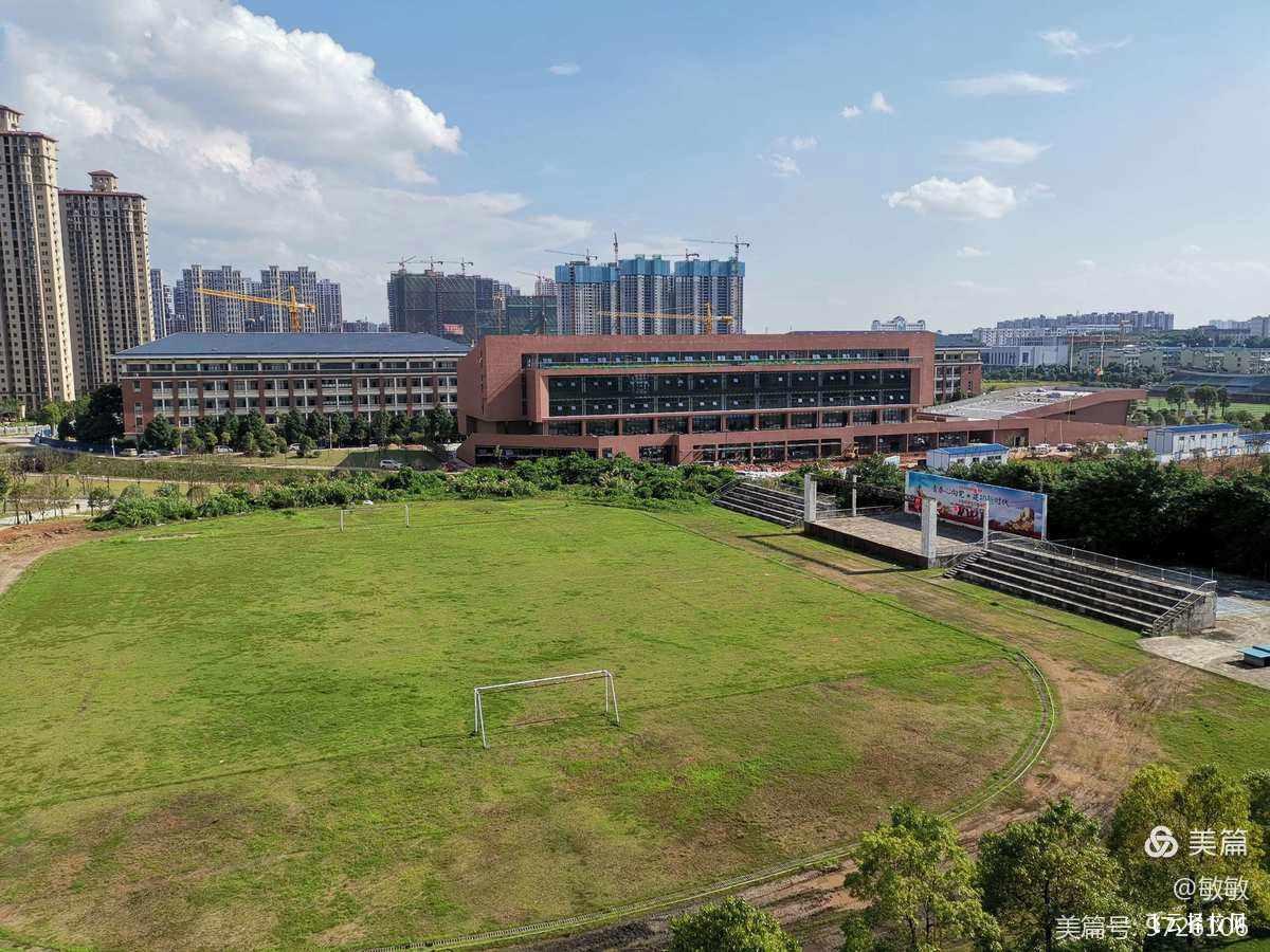 射洪職中有什么專業,中考錄取分數多少