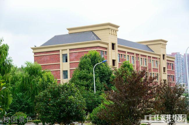 南溪職校有什么專業,中考錄取分數多少