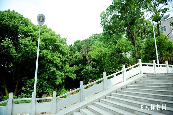 南充外國語中專校有什么專業,中考錄取分數多少