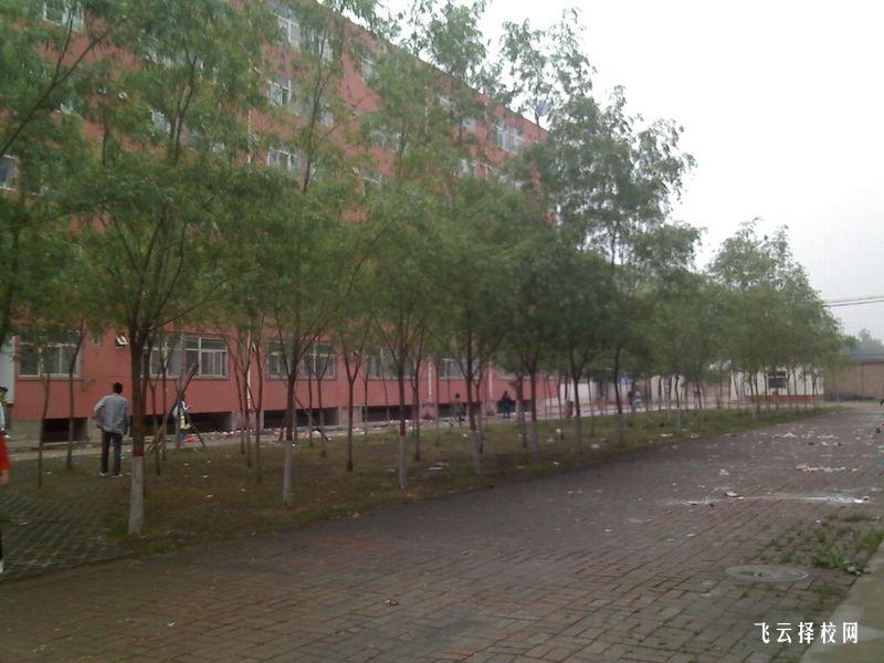 綿陽御營職中有什么專業(yè),中考錄取分數(shù)多少