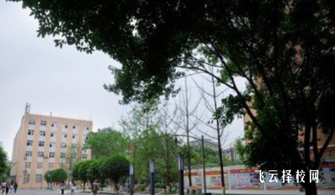 樂山一職中有什么專業,中考錄取分數多少