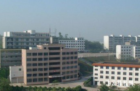 樂山一職中有什么專業,中考錄取分數多少