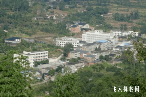 簡陽市育英學校有什么專業,中考錄取分數多少