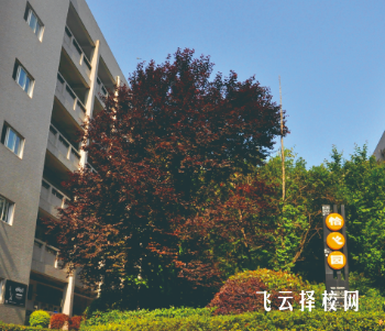 成都電子信息學校怎么收費,一年學費多少 