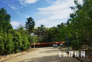 華森職校怎么收費,一年學費多少